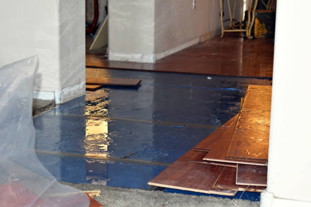 Professional Basement Water Removal technician working in Chester, OH
